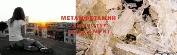 шишки Няндома