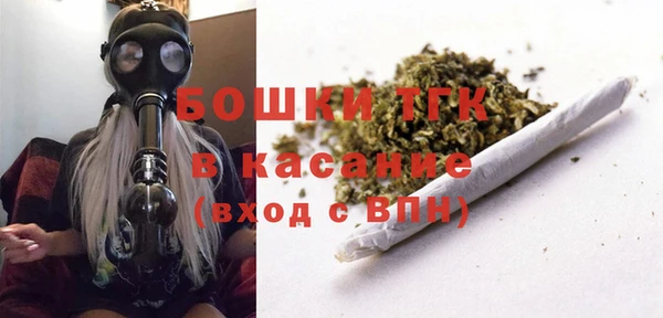 шишки Няндома