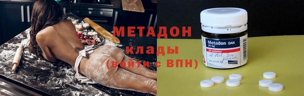 шишки Няндома