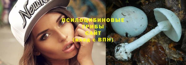 шишки Няндома