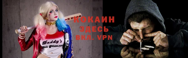 a pvp Кемь