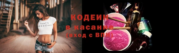 шишки Няндома