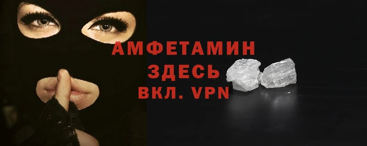 шишки Няндома