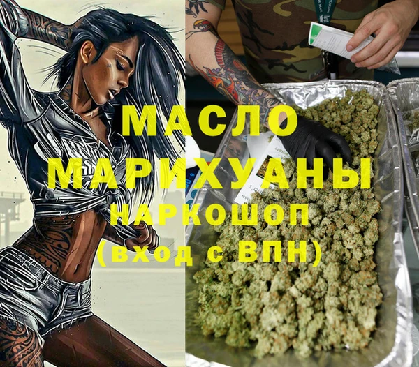 шишки Няндома