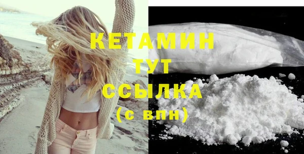 шишки Няндома