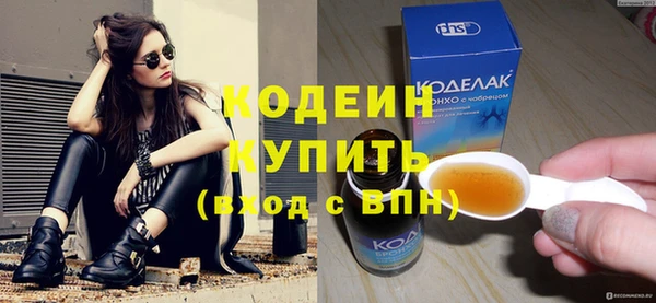 шишки Няндома