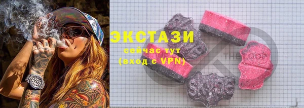 шишки Няндома