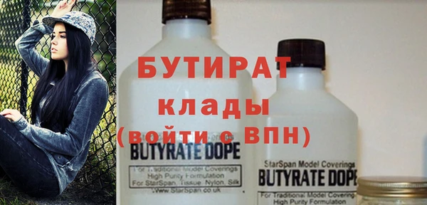 шишки Няндома