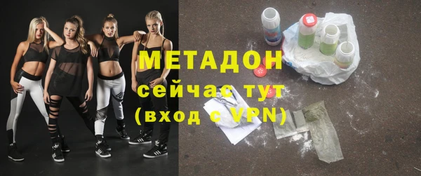 шишки Няндома