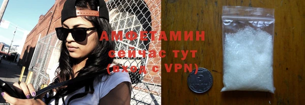 шишки Няндома