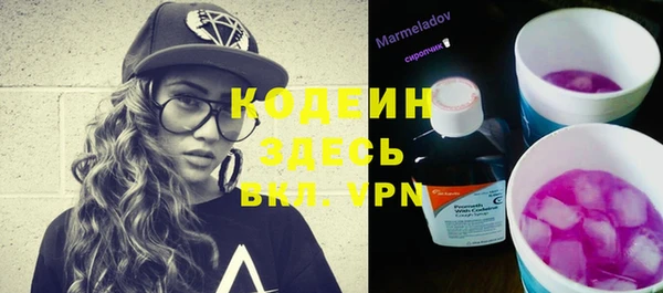 шишки Няндома