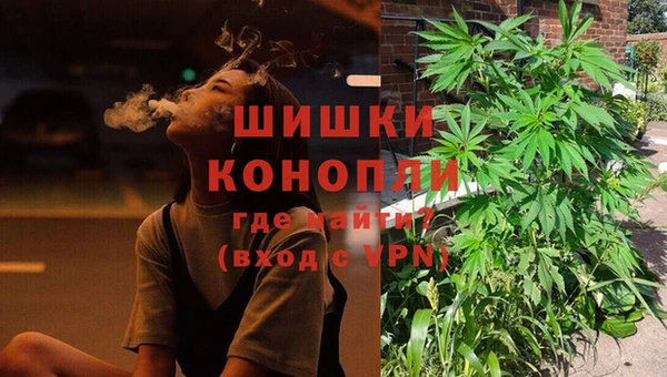 шишки Няндома