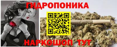 прущие крисы Кандалакша