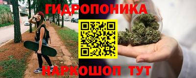 прущие крисы Кандалакша