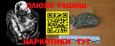 прущие крисы Кандалакша