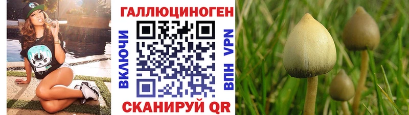 Псилоцибиновые грибы Magic Shrooms площадка формула Солнечногорск наркотики