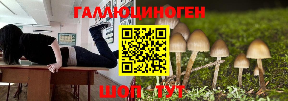 Солнечногорск  Галлюциногенные грибы Magic Shrooms  где купить наркоту  Вход с VPN 