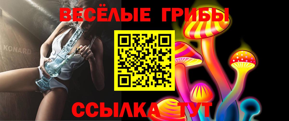 Галлюциногенные грибы мицелий Солнечногорск